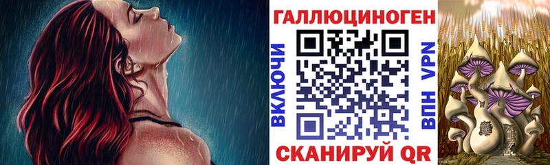 Псилоцибиновые грибы Magic Shrooms  блэк спрут   Кыштым  купить закладку 