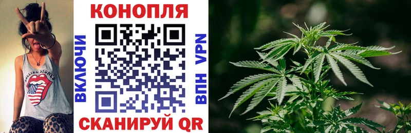 Шишки марихуана план площадка клад Кыштым